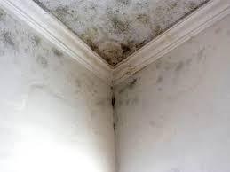 Best Mold Removal for HVAC Installations  in Waterloo, WI