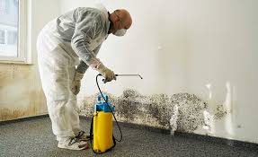 Best Biohazard Mold Removal  in Waterloo, WI