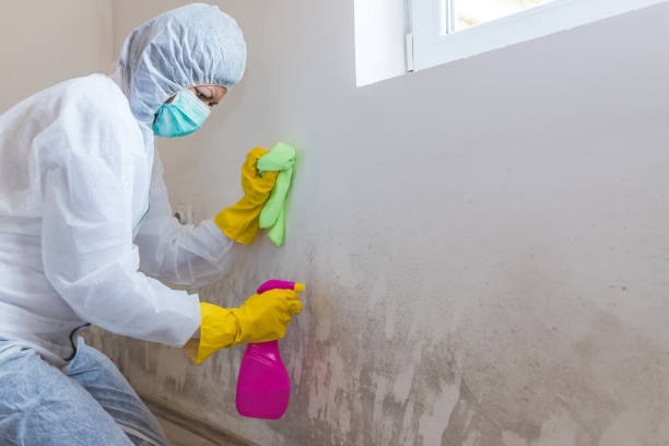 Best Mold Documentation for Insurance Claims  in Waterloo, WI