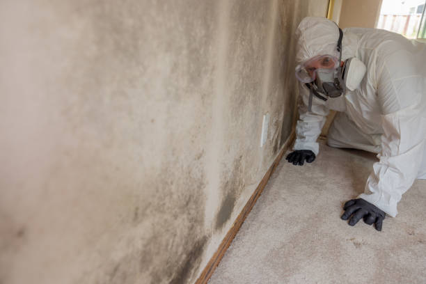 Best Environmental Consulting for Mold Prevention  in Waterloo, WI